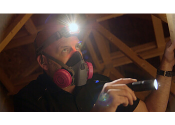 Guelph home inspector Building Insights Inc.