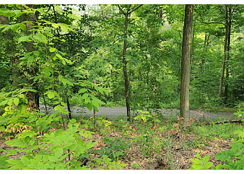 St Catharines hiking trail Burgoyne Woods