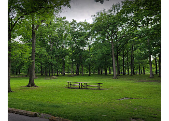 St Catharines hiking trail Burgoyne Woods
