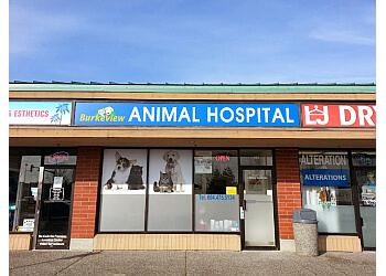 Burkeview Animal Hospital