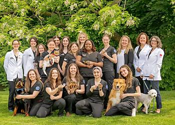 Oakville veterinary clinic Burloak Animal Hospital