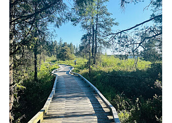 Delta hiking trail Burns Bog