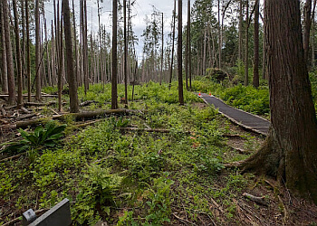 Delta hiking trail Burns Bog