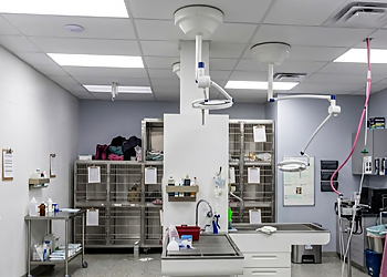 Burtch Animal Hospital - Kelowna, BC Cliniques Vétérinaires - Medical Procedure Image