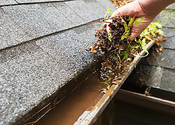 Brampton gutter cleaner Busy Bee Home Service