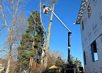 Belleville tree service Butler Tree Service Ltd.
