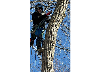 Belleville tree service Butler Tree Service Ltd.