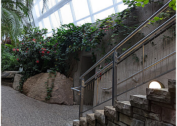 Niagara Falls places to see Butterfly Conservatory