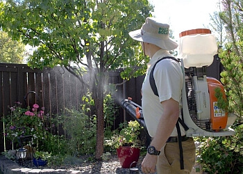 Red Deer pest control Buzz Boss