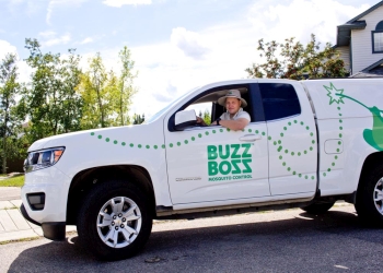 Red Deer Services d'extermination de parasites Buzz Boss