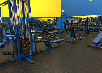 Brossard Gymnases Buzzfit Brossard