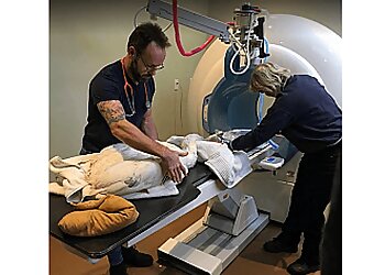 Caledon veterinary clinic Caledon Mountain Veterinary Hospital