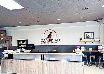 Sudbury
Cliniques Vétérinaires
CAMBRIAN ANIMAL HOSPITAL image 1