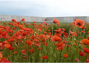 Ottawa Attraction touristiques Canadian War Museum