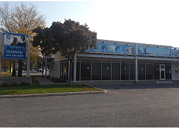 Ottawa veterinary clinic CARLING ANIMAL HOSPITAL image 1