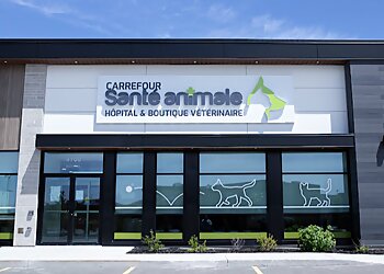 Sherbrooke veterinary clinic CARREFOUR SANTÉ ANIMALE image 1