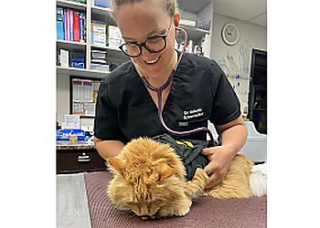 North Bay veterinary clinic Cassells Animal Hospital