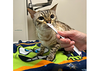 St Johns veterinary clinic CBS Animal Hospital