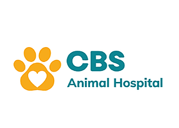 St Johns veterinary clinic CBS Animal Hospital