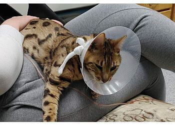 Red Deer veterinary clinic Cedarwood Veterinary & Animal Emergency Hospital