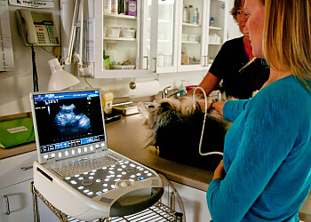 Kamloops veterinary clinic Central Animal Hospital