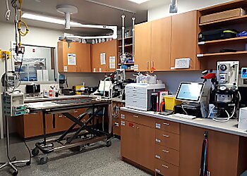 Victoria veterinary clinic Central Victoria Veterinary Hospital