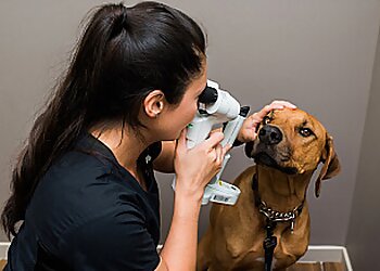 Victoria veterinary clinic Central Victoria Veterinary Hospital
