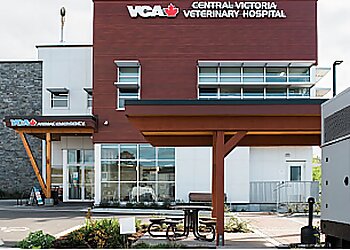 Victoria veterinary clinic CENTRAL VICTORIA VETERINARY HOSPITAL image 1