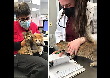 Peterborough veterinary clinic Champlain Animal Hospital