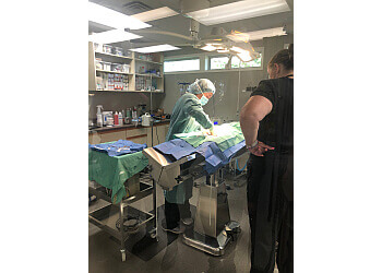 Nanaimo veterinary clinic Chase River Veterinary Hospital