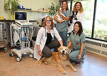 Saint Hyacinthe veterinary clinic CHUV Saint Hyacinthe