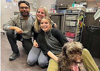 Airdrie veterinary clinic City Centre Animal Hospital