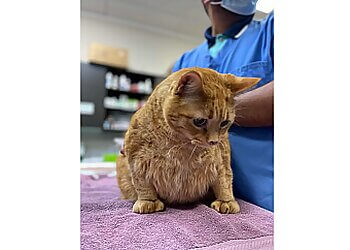 Airdrie veterinary clinic City Centre Animal Hospital