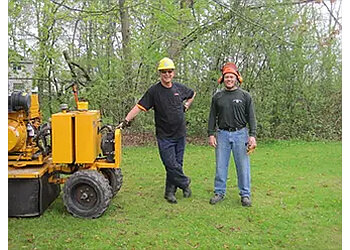 London tree service CLC Tree Services Ltd.