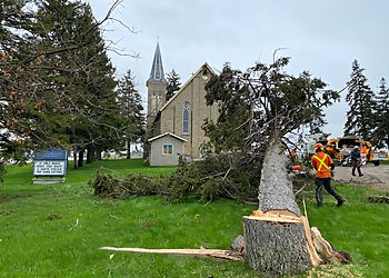 CLC Tree Services Ltd. - London, ON Tree Services - Job Site Image