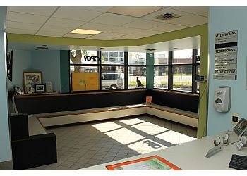 Windsor veterinary clinic Clearwater Animal Hospital