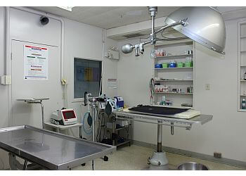 Windsor veterinary clinic Clearwater Animal Hospital