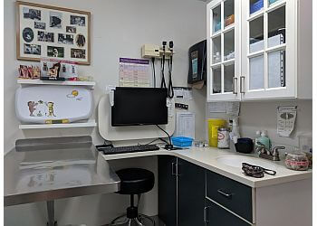 Gatineau veterinary clinic Clinique Veterinaire D'aylmer