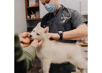 Saint Jean sur Richelieu Cliniques Vétérinaires Clinique Vétérinaire Ami-Fidèle Inc.