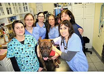 Granby veterinary clinic Clinique Vétérinaire de Granby
