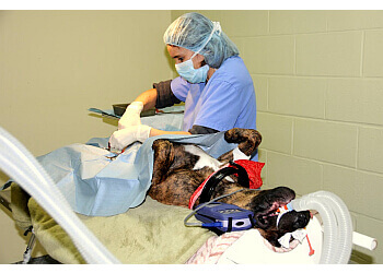 Granby veterinary clinic Clinique Vétérinaire de Granby