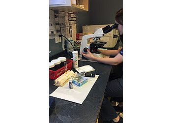 Terrebonne Cliniques Vétérinaires Clinique Vétérinaire de Lachenaie Inc.