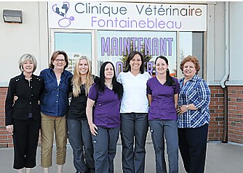 Blainville veterinary clinic Clinique Vétérinaire Fontainebleau