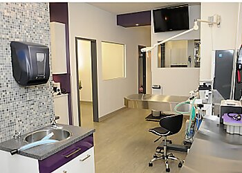 Blainville veterinary clinic Clinique Vétérinaire Fontainebleau