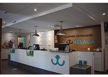 Montreal veterinary clinic Clinique vétérinaire Hochelaga inc.