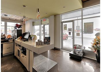 Terrebonne Cliniques Vétérinaires Clinique Vétérinaire La Plaine Inc.