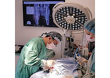 Saint Jerome veterinary clinic Clinique Vétérinaire La Providence Inc.