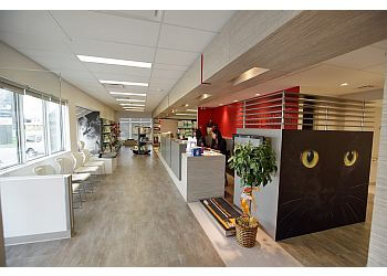 Levis Cliniques Vétérinaires Clinique Vétérinaire Lévis-Lauzon Inc.