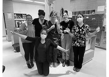 Levis Cliniques Vétérinaires Clinique Vétérinaire Lévis-Lauzon Inc.