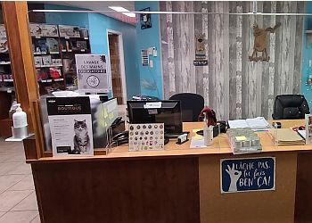 Saguenay veterinary clinic Clinique Vétérinaire Paradis